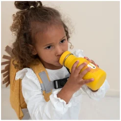 Trixie Drinkfles Mr. Lion, 350ml