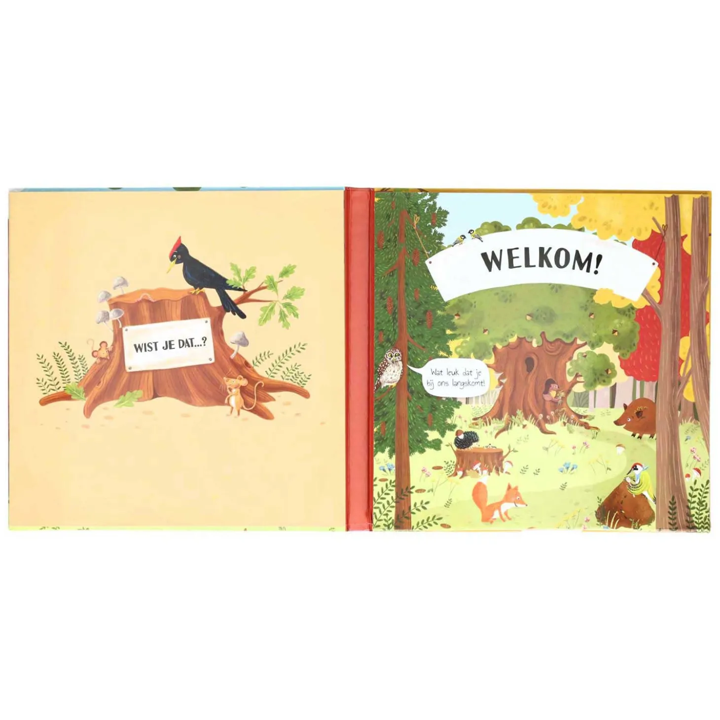 Uitklap- en Flapjesboek Binnen in de Boom