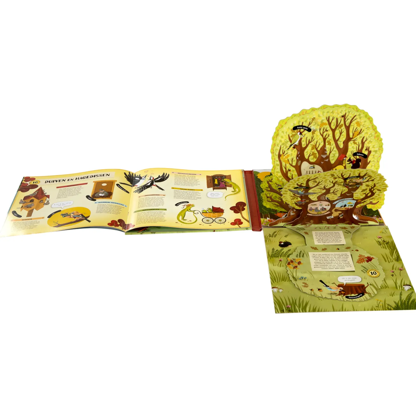 Uitklap- en Flapjesboek Binnen in de Boom