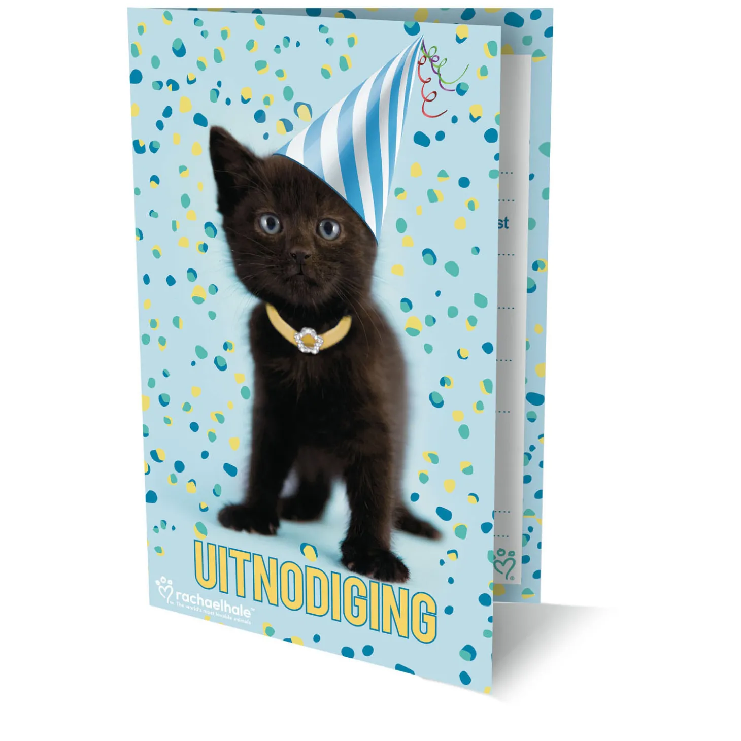 Uitnodigingen Rachel Hale Kat, 6st.