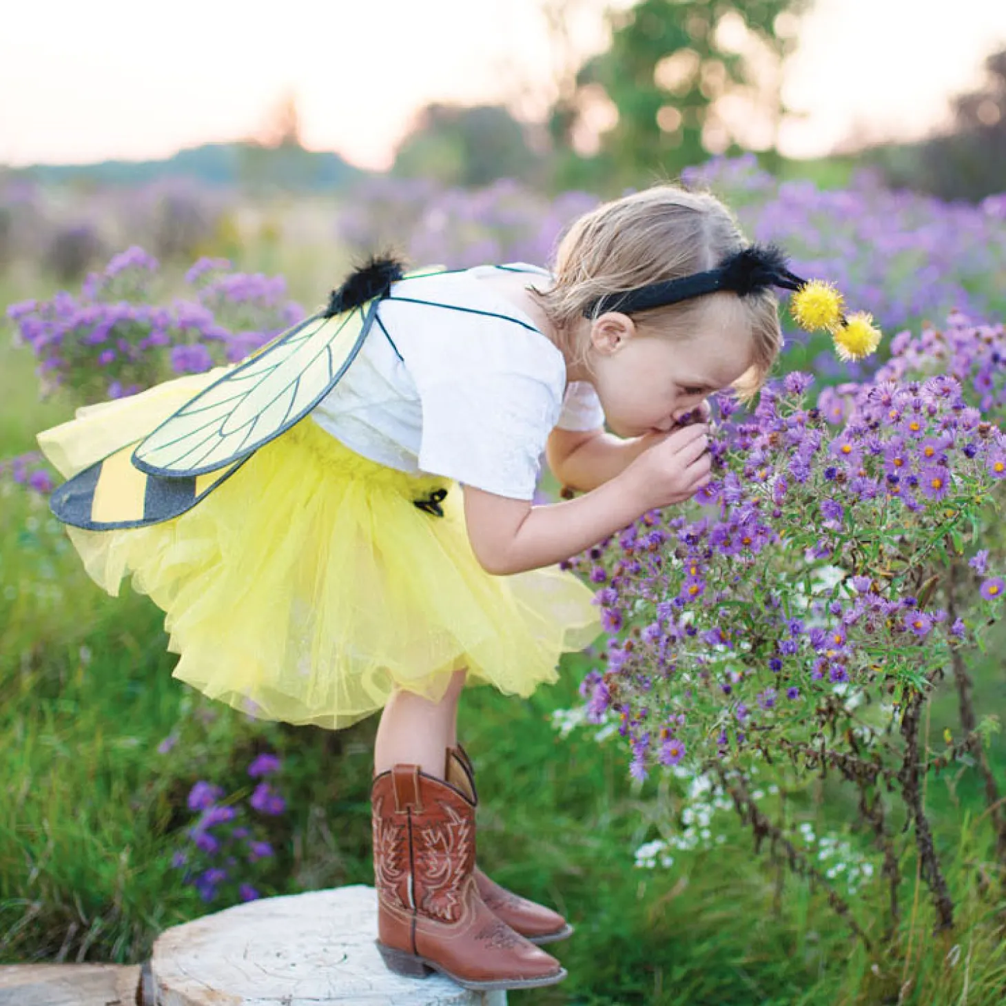 Verkleedset Bij, 4-6 jaar