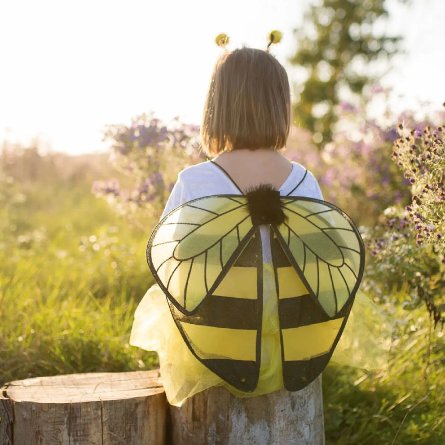 Verkleedset Bij, 4-6 jaar
