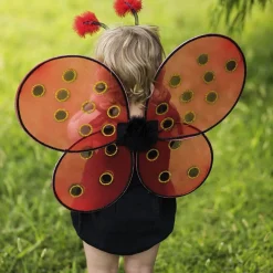 Verkleedset Lieveheersbeestje, 3-4 jaar