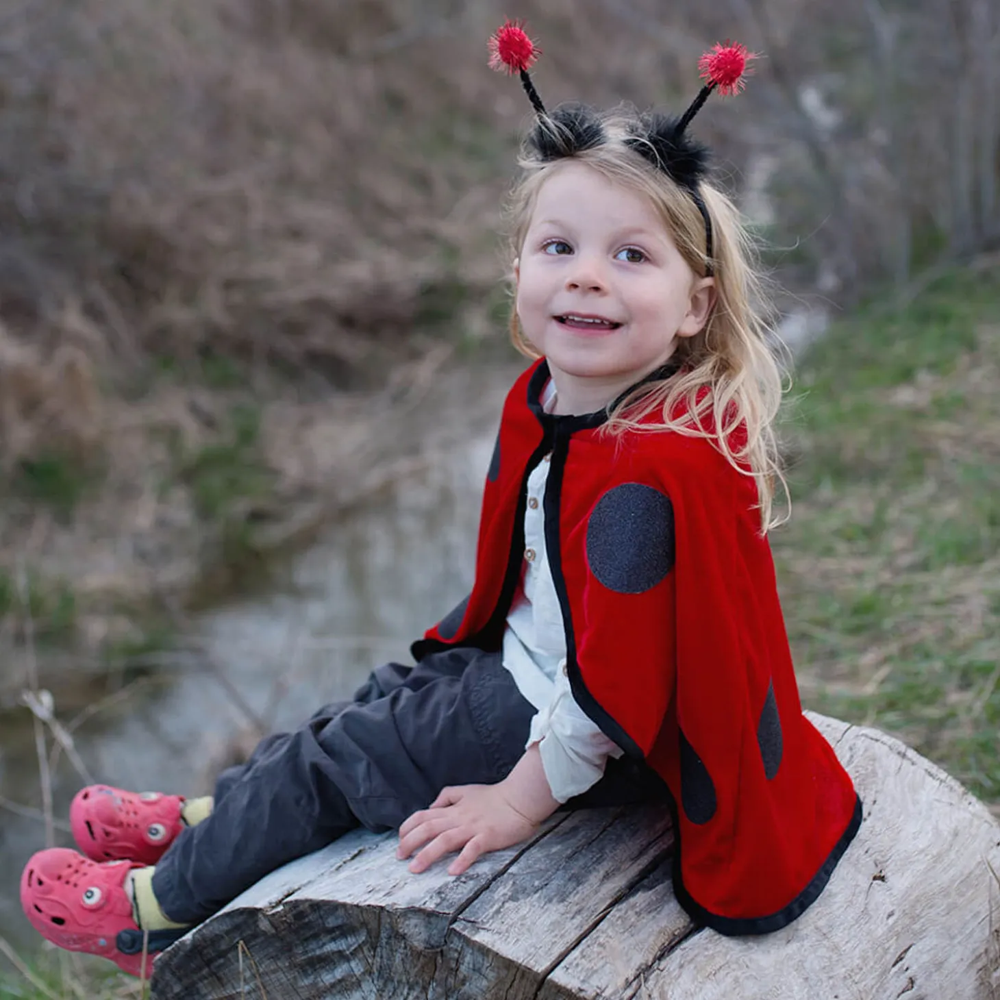 Verkleedset Lieveheersbeestje, 2-3 jaar