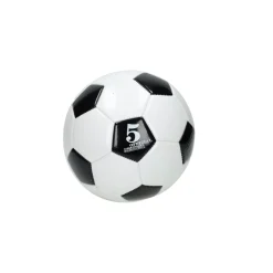 Voetbal Zwart/Wit