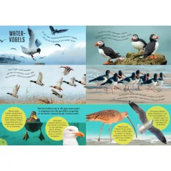 Vogels - Gids en Natuurdagboek voor Kinderen