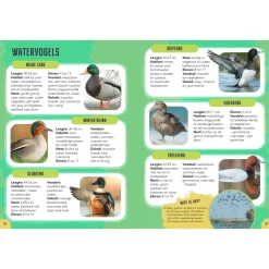 Vogels - Gids en Natuurdagboek voor Kinderen