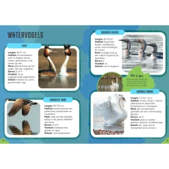Vogels - Gids en Natuurdagboek voor Kinderen