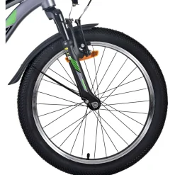 Volare Cross Fiets - 20 inch - donker Grijs