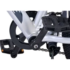 Volare Cross Fiets - 20 inch - Zilver - 6 versnellingen