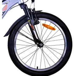 Volare Cross Fiets - 20 inch - Zilver - 6 versnellingen