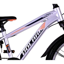 Volare Cross Fiets - 20 inch - Zilver - 6 versnellingen
