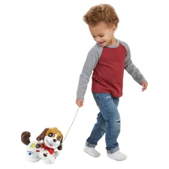 VTech Baby Mijn Eerste Puppyvriendje