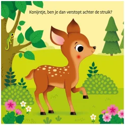 Waar Is het Konijntje? Flapjesboek