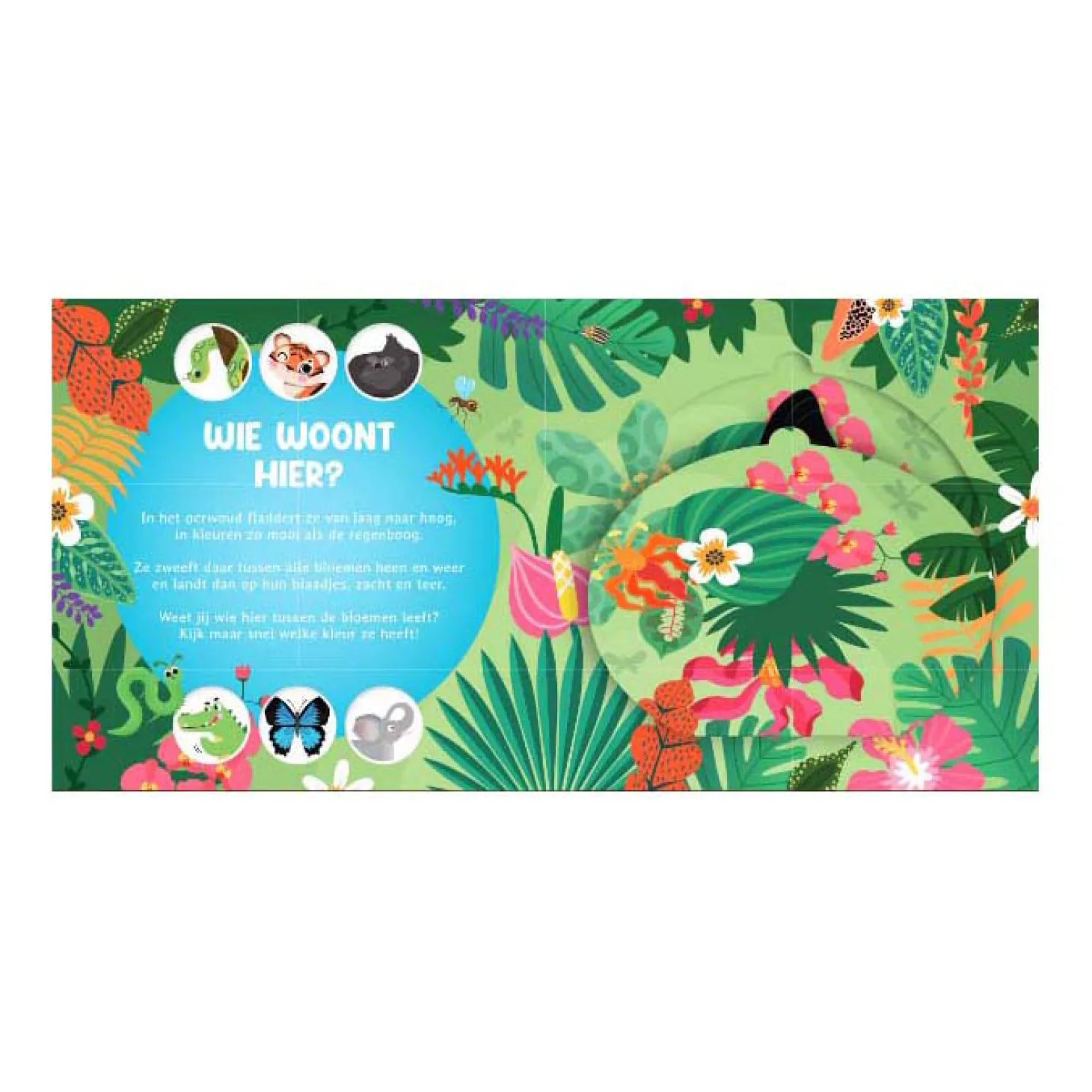 Wie Woont Hier? In de Jungle Flapjesboek