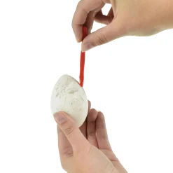 World of Dinosaurs Uitgraafset Dino Ei