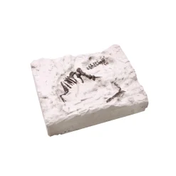 World of Dinosaurs Uitgraafset 'dino fossiel'