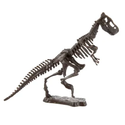 World of Dinosaurs Uitgraafset 'dino fossiel'